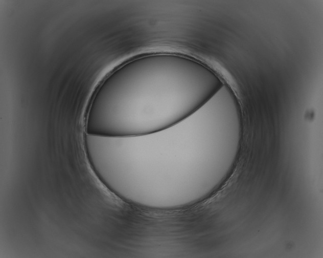 X0000089381380200707131649