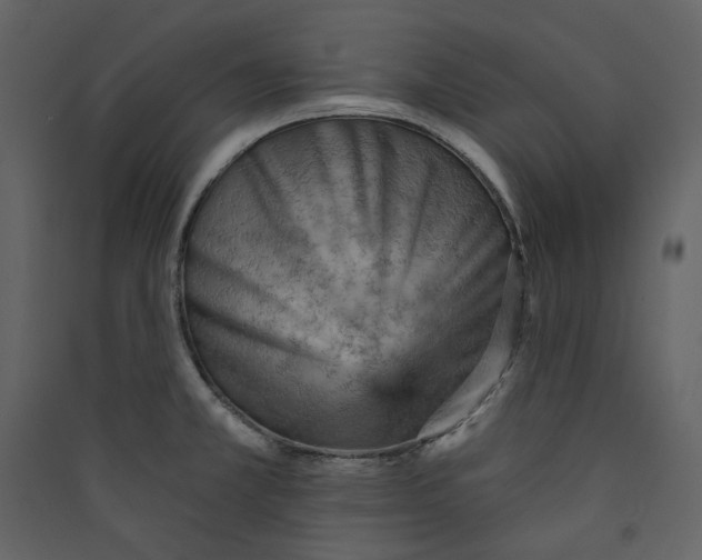 X0000089381381200707131649