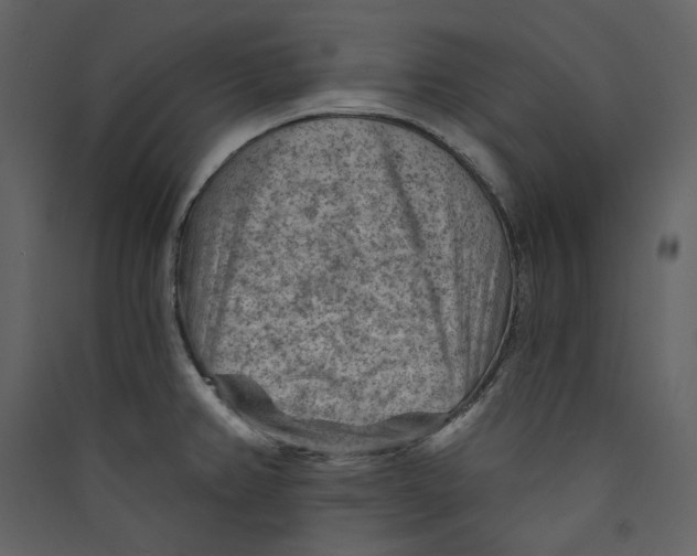 X0000089381382200707131649