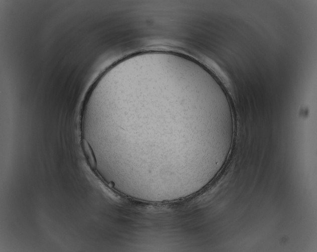 X0000089381384200707131649