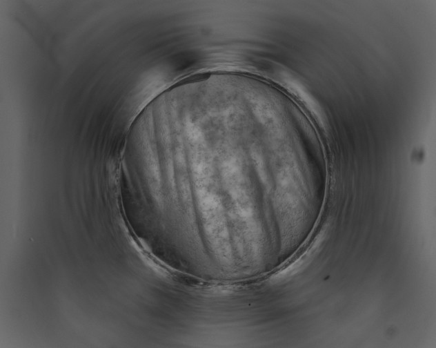 X0000089381385200707131649