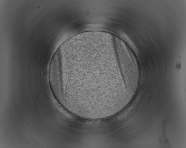 X0000089381386200707131649