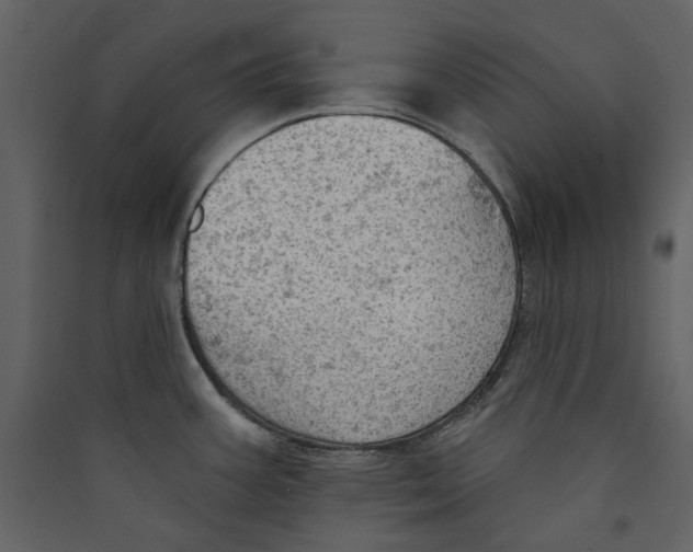 X0000089381387200707131649