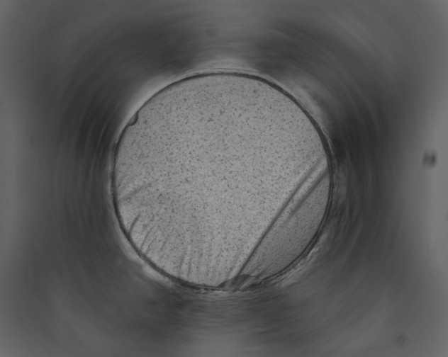 X0000089381390200707131649