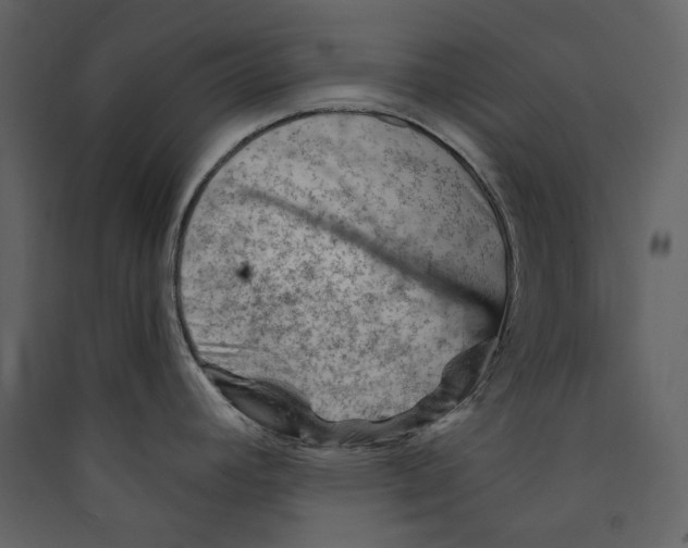 X0000089381392200707131649