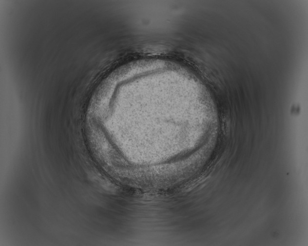 X0000089381393200707131648