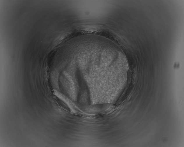 X0000089381394200707131648