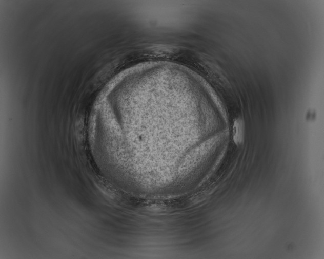 X0000089381395200707131648