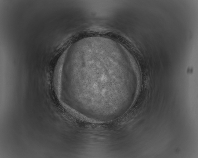 X0000089381397200707131648