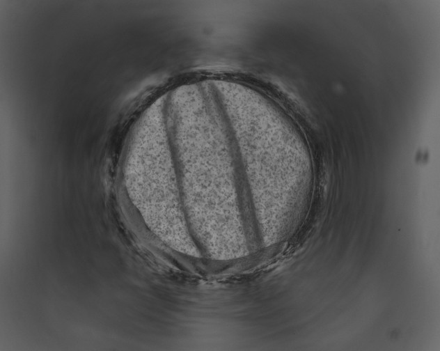 X0000089381398200707131648