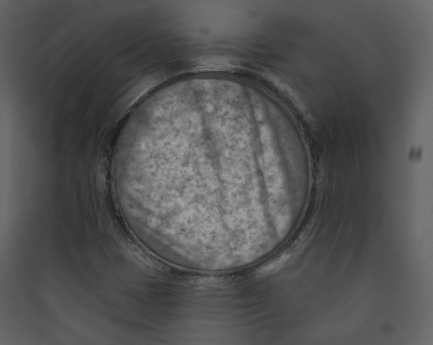 X0000089381401200707131649