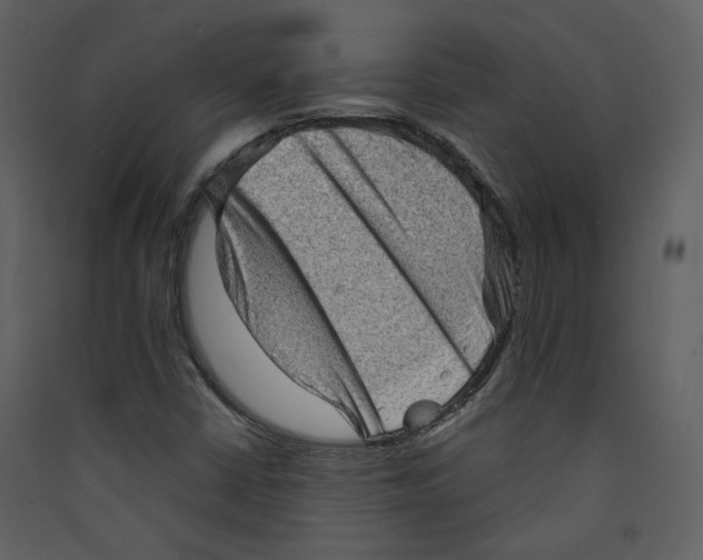 X0000089381402200707131649