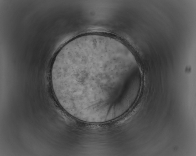 X0000089381405200707131649