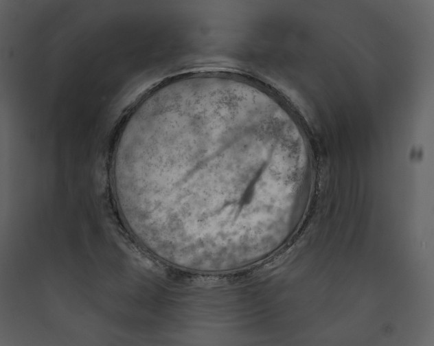 X0000089381407200707131649