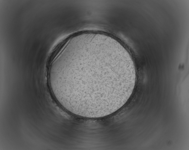 X0000089381408200707131649