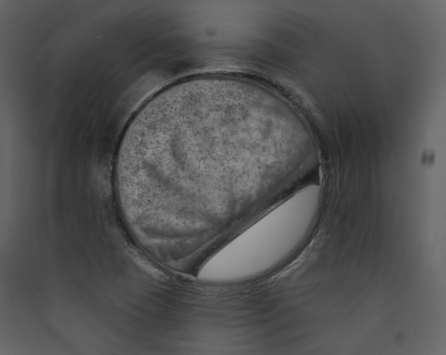 X0000089381409200707131649