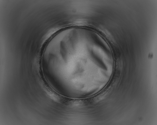 X0000089381410200707131649