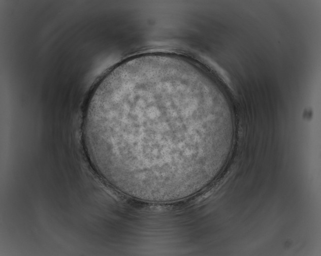 X0000089381411200707131649