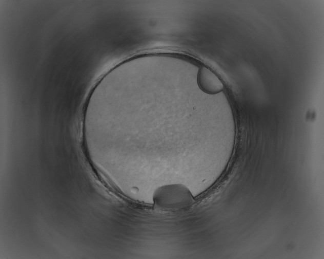 X0000089381413200707131649