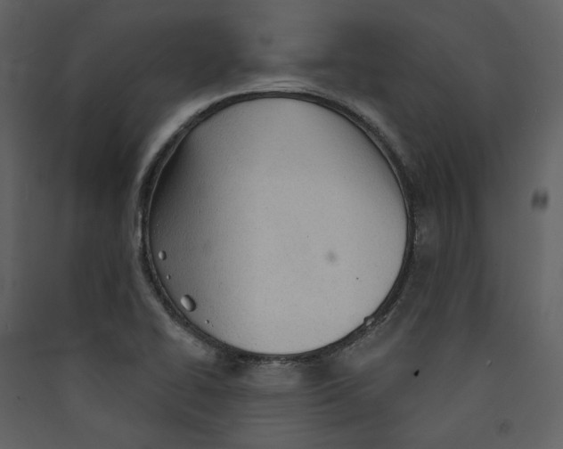 X0000089381414200707131649