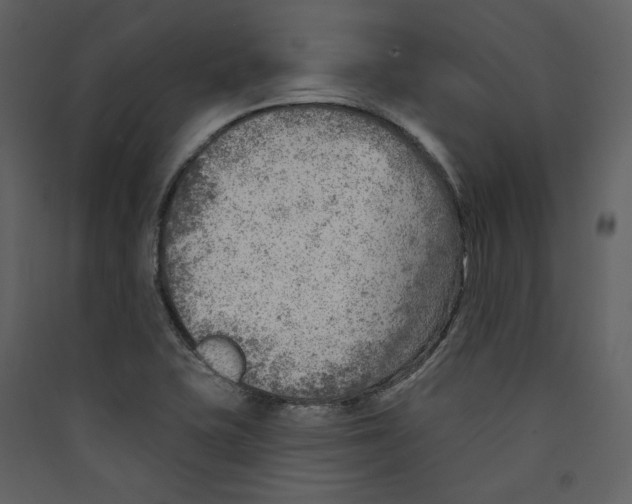 X0000089381415200707131649