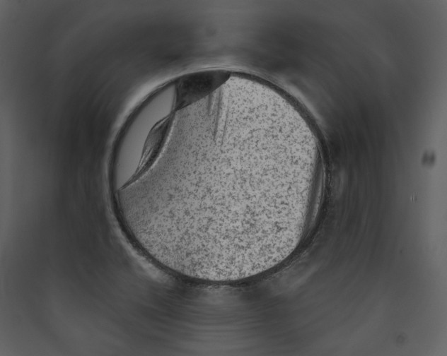 X0000089381416200707131649