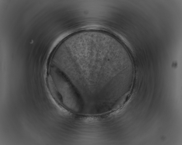 X0000089381418200707131649