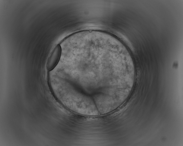 X0000089381419200707131649