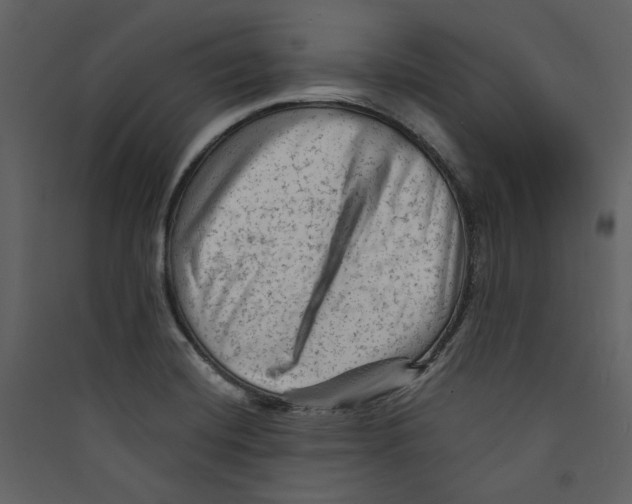 X0000089381420200707131649