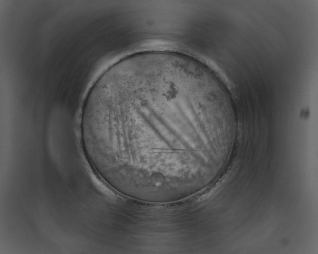 X0000089381421200707131649