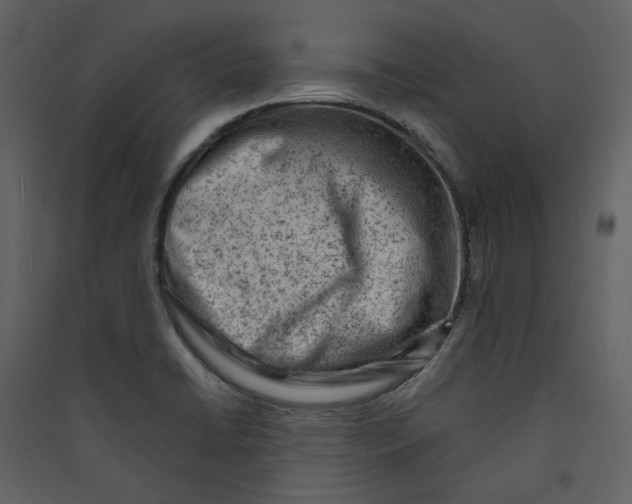 X0000089381422200707131649