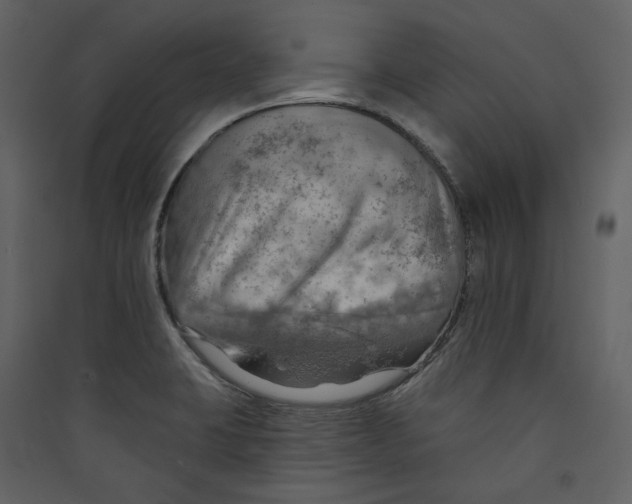 X0000089381423200707131649