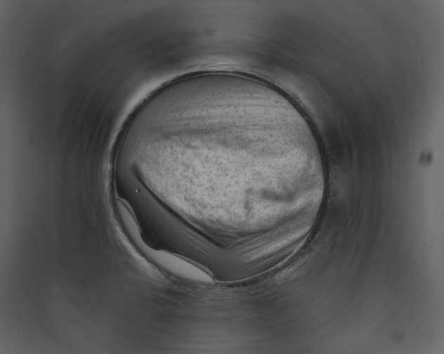 X0000089381424200707131649