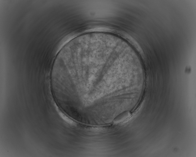 X0000089381425200707131649