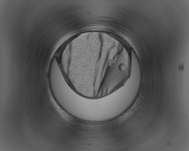 X0000089381426200707131649