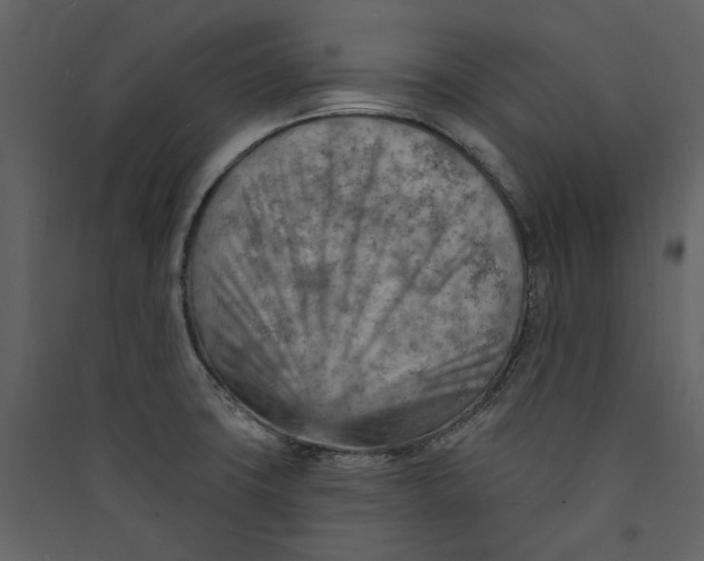 X0000089381427200707131649