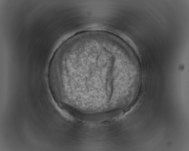 X0000089381429200707131649