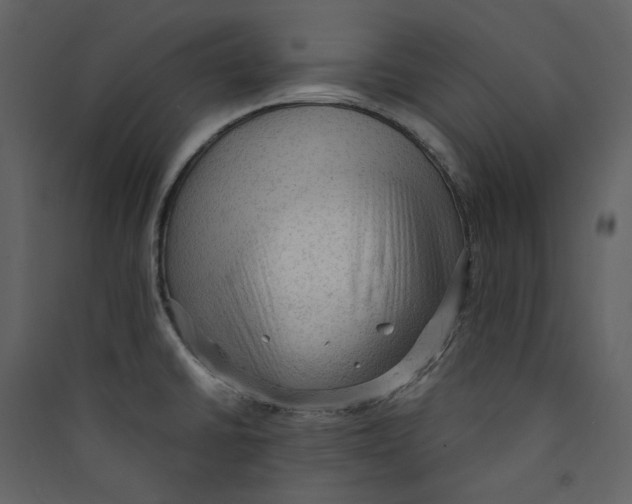 X0000089381430200707131649