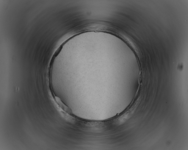 X0000089381434200707131649