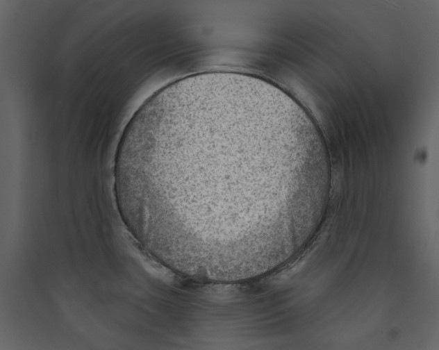 X0000089381435200707131649