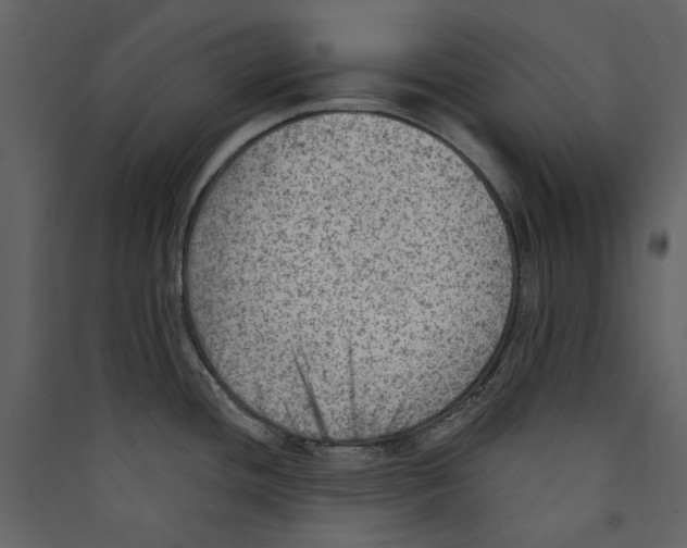 X0000089381436200707131649