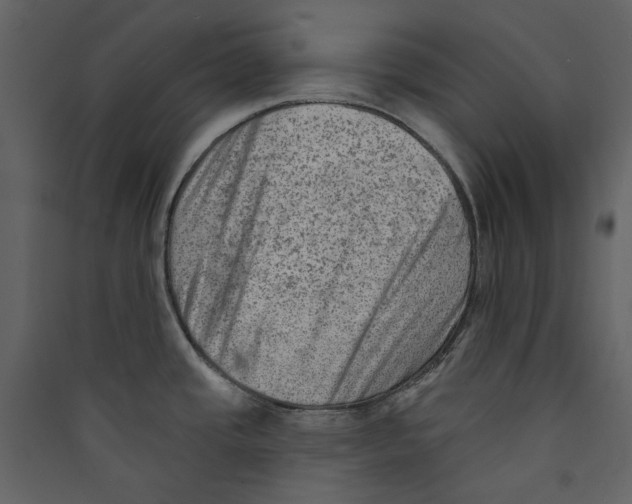 X0000089381437200707131649