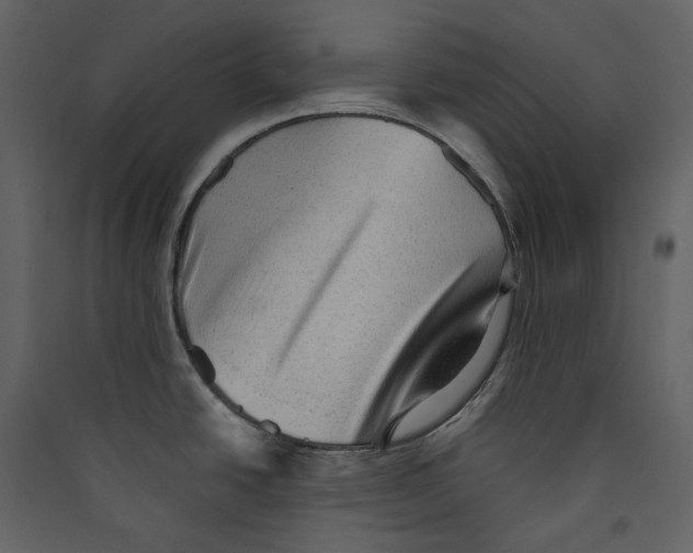 X0000089381438200707131649