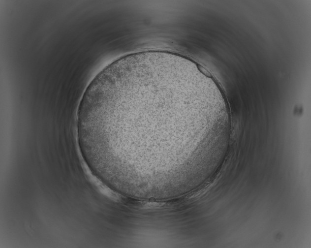 X0000089381439200707131649