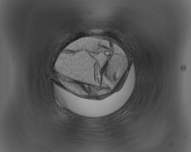 X0000089381441200707131648