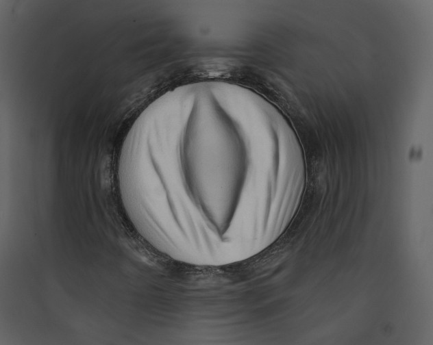 X0000089381442200707131648