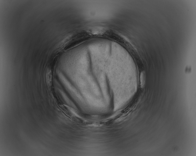 X0000089381443200707131648