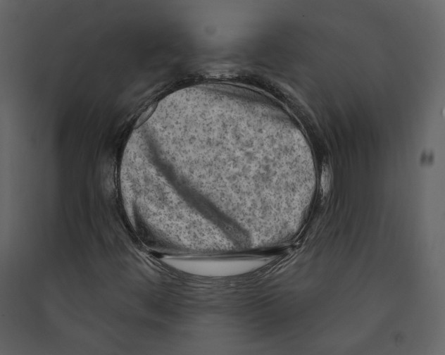 X0000089381444200707131648