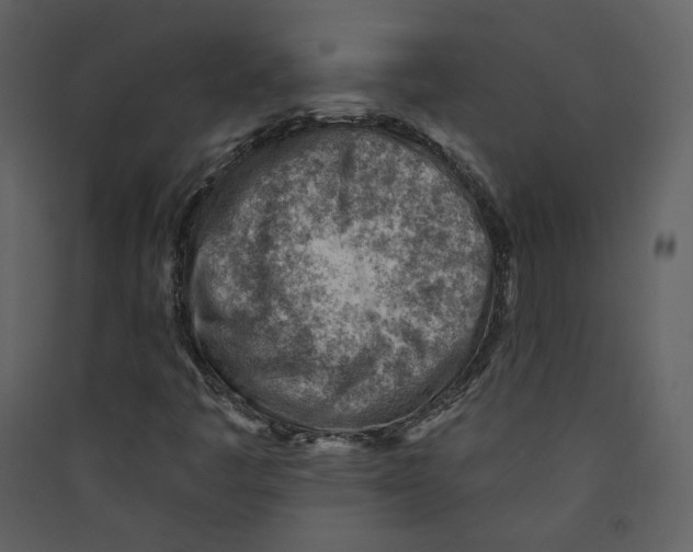 X0000089381445200707131648