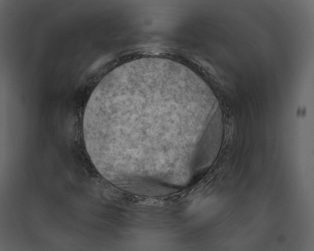 X0000089381446200707131648